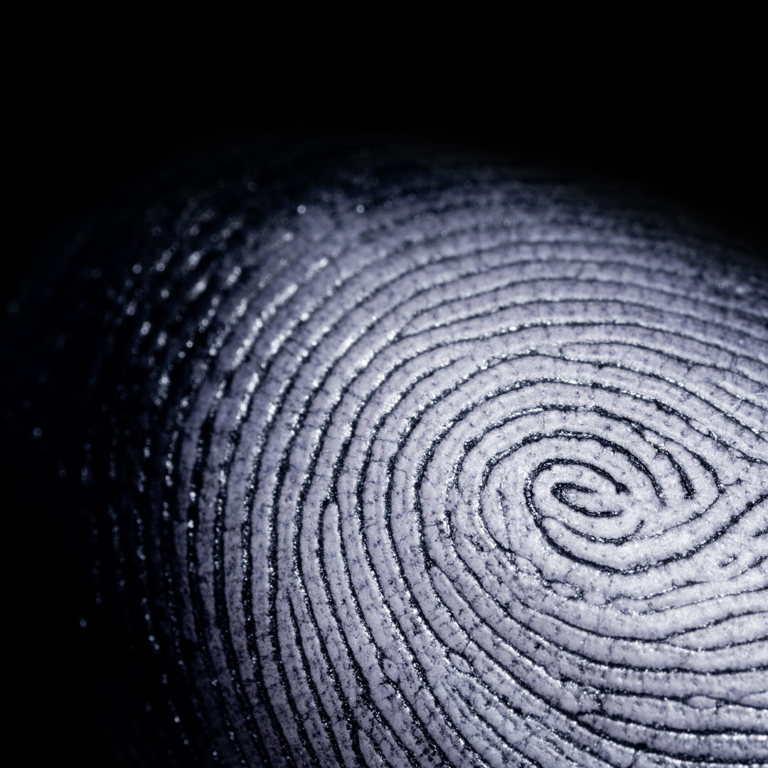 Directors verification with Companies House